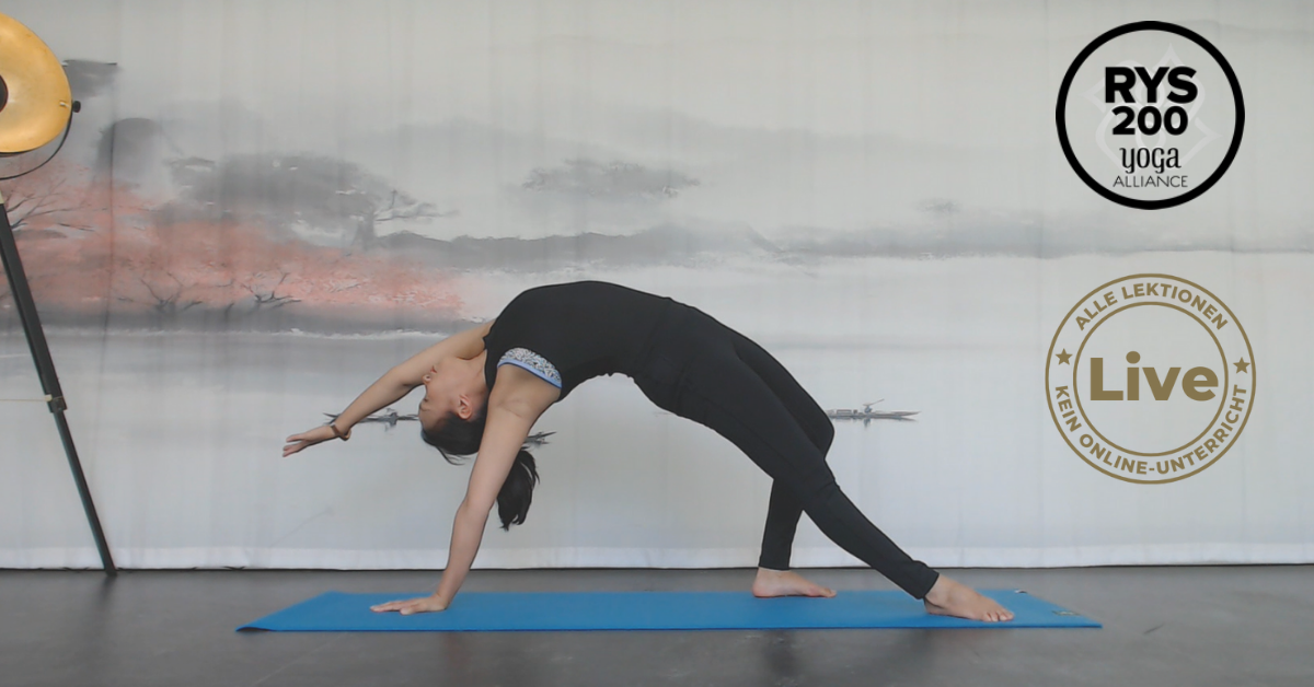 Christian Rohner - Digitales Marketing - Referenzprojekt Yoga2day